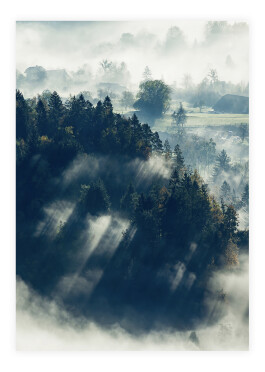 Plakat af skovens tåge